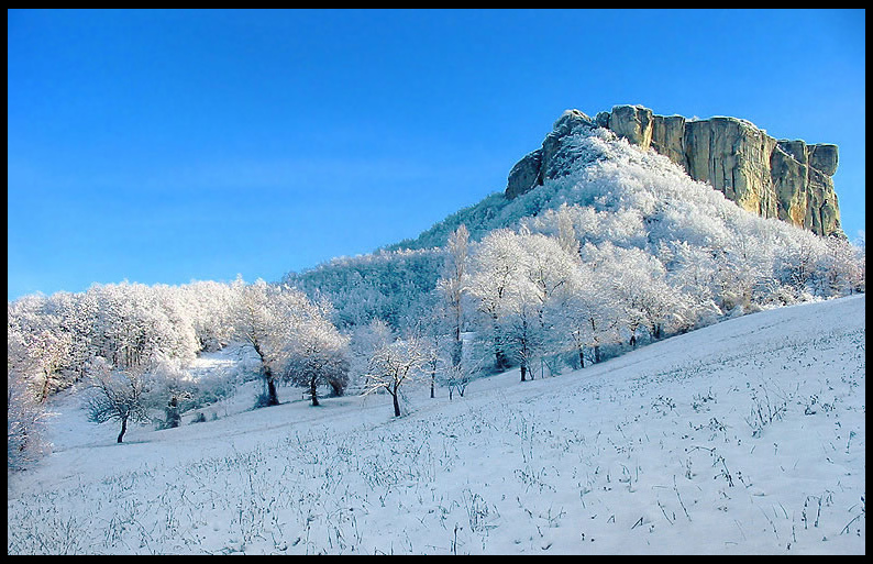 appennino reggiano