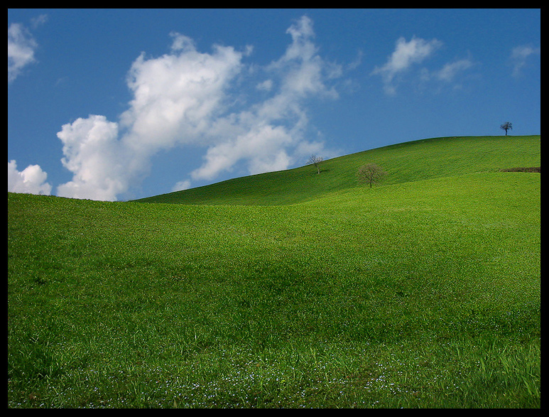 appennino reggiano