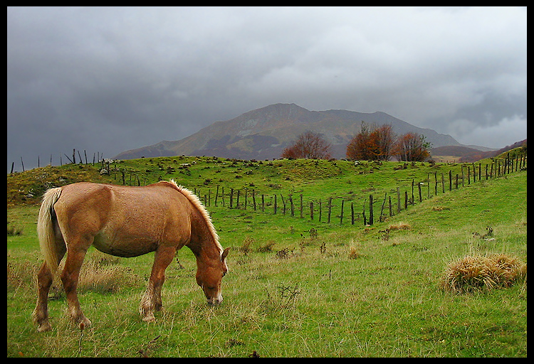 appennino reggiano