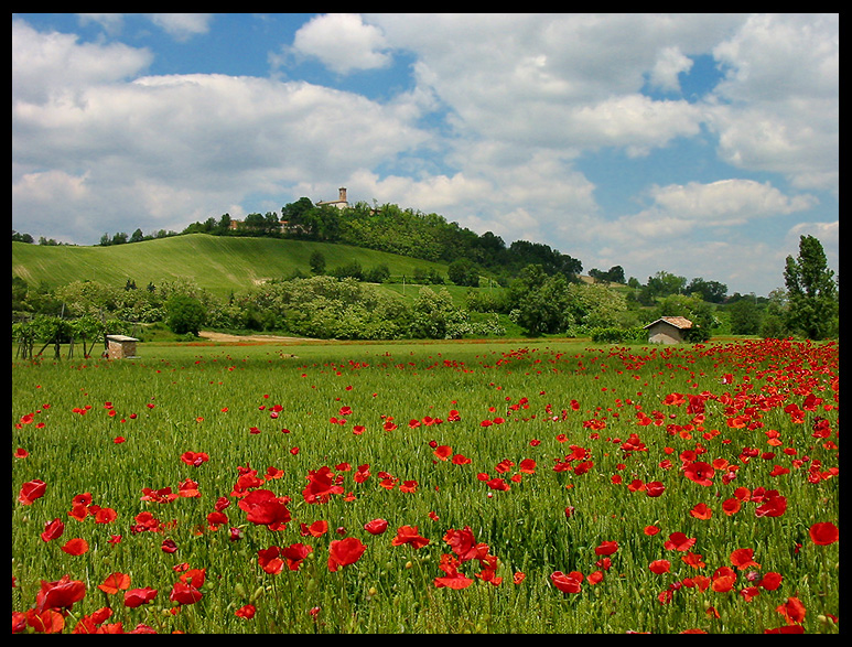 appennino reggiano