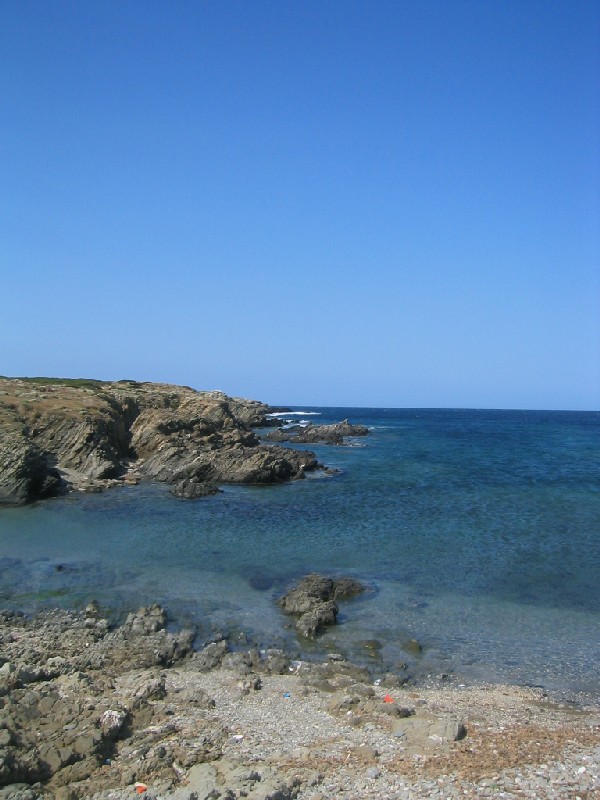 Coscia di Donna