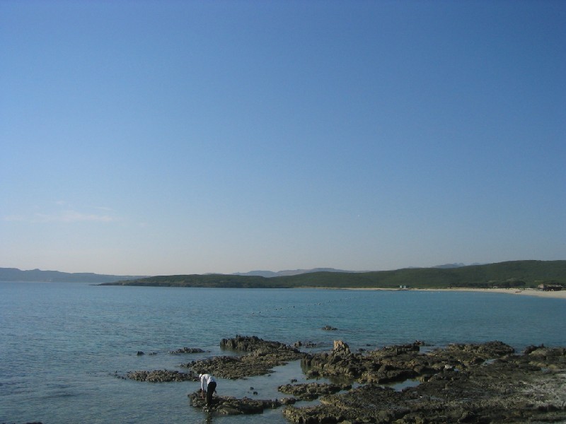 BADOS