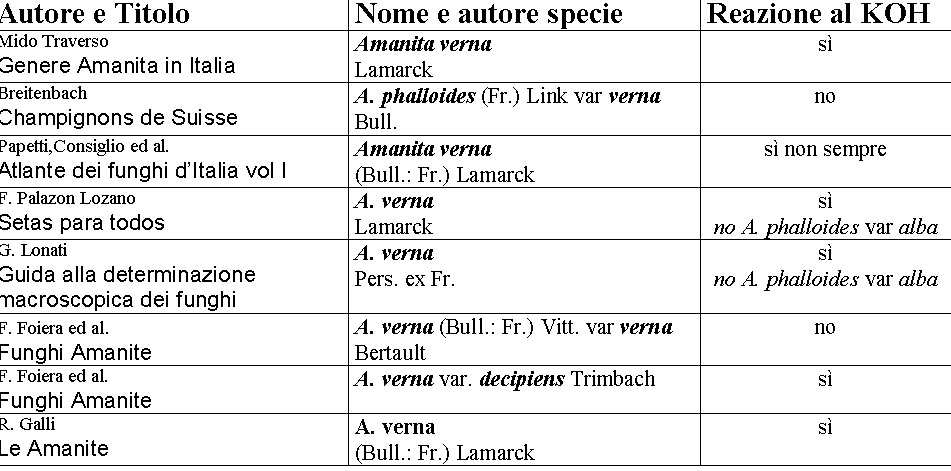 Ritrovamenti primaverili dal Salento