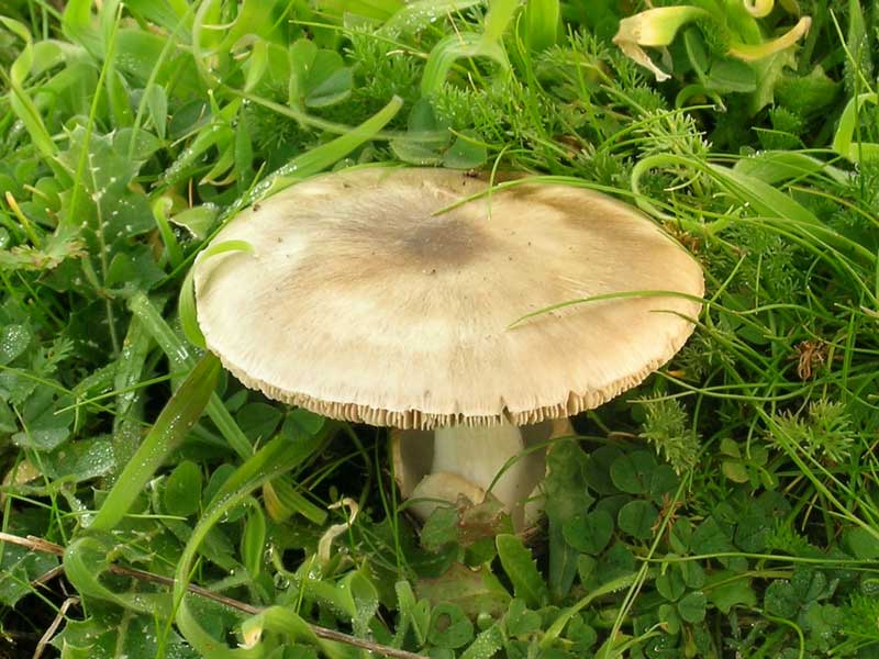 Lido dei Pini (RM) 08.01.05