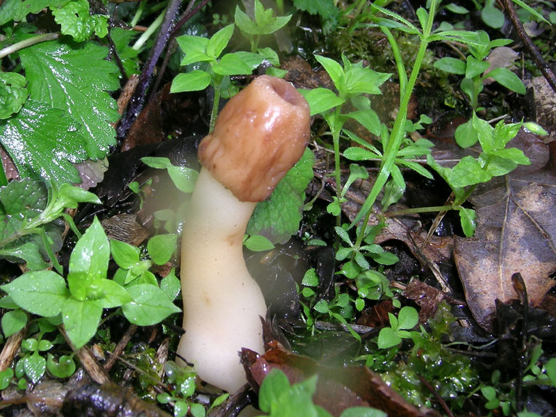 Sotto la pioggia il 17 aprile