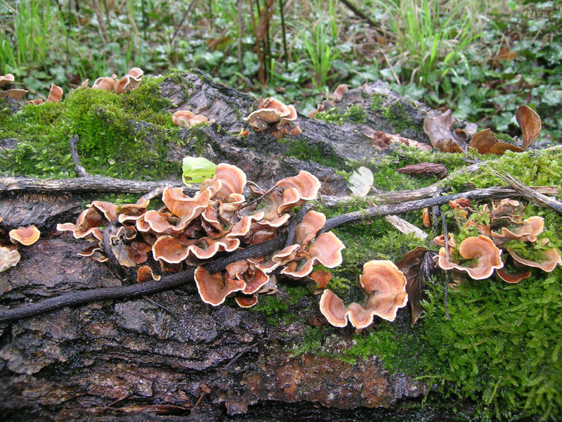 Sotto la pioggia il 17 aprile