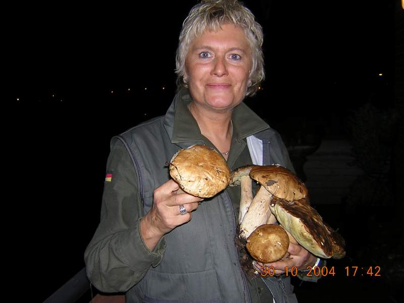 L''emozione di Shamrock