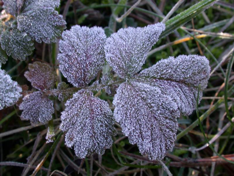 Ritrovamenti di oggi...