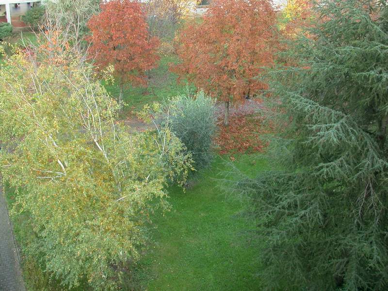 Nel parco sotto casa......