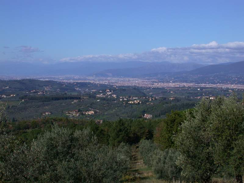 Raccolta delle olive