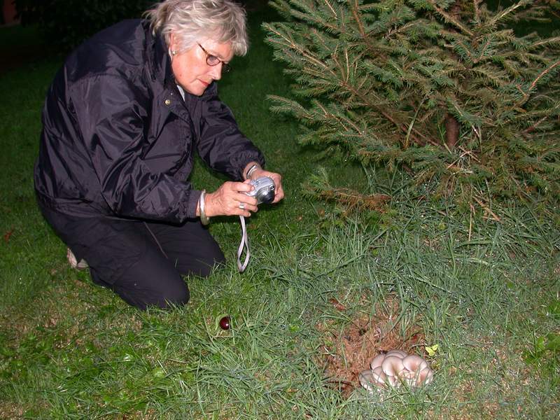 Nel parco sotto casa......