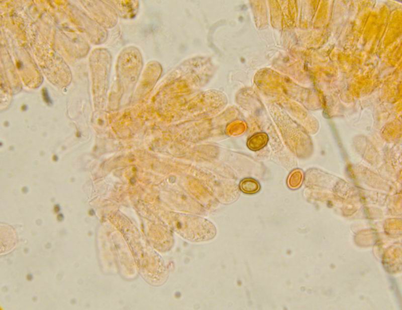 Nel Parco sotto casa...