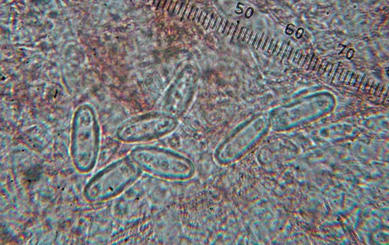 Uscita del 29/12/2004