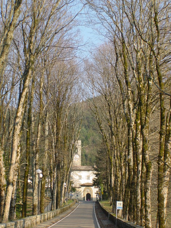 Raduno a Vallombrosa