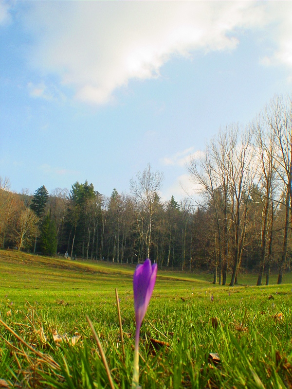 Raduno a Vallombrosa