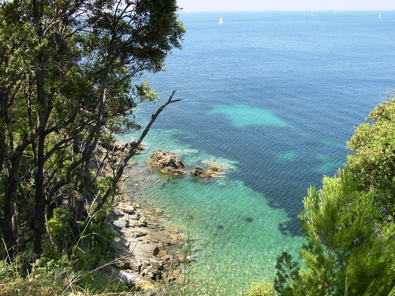 Isola d''Elba