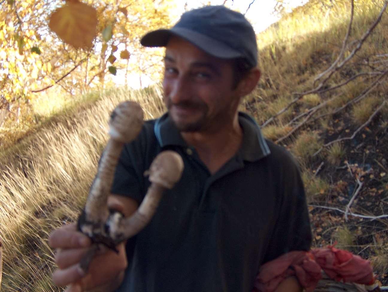 Funghi un p�  os�.