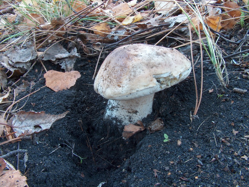 30/10/04.Foto odierne.