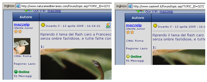 Accessibilit Forum.