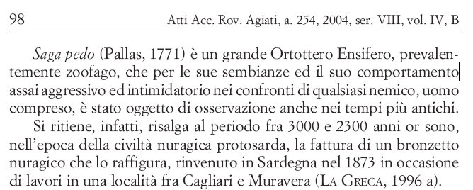 Cavalletta predatrice Saga pedo