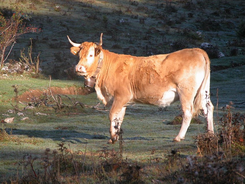 Qualche ritrovamento di Domenica 24/10/04