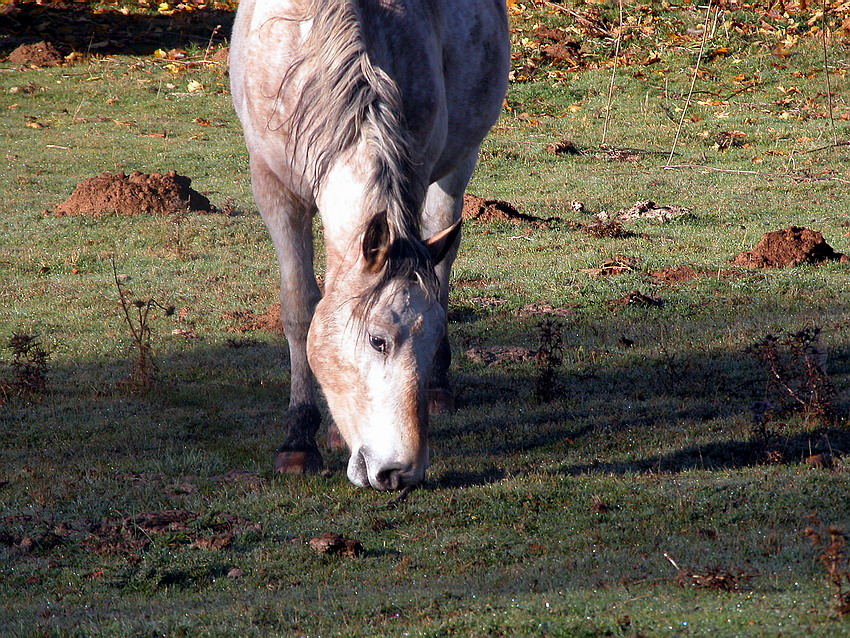 Qualche ritrovamento di Domenica 24/10/04