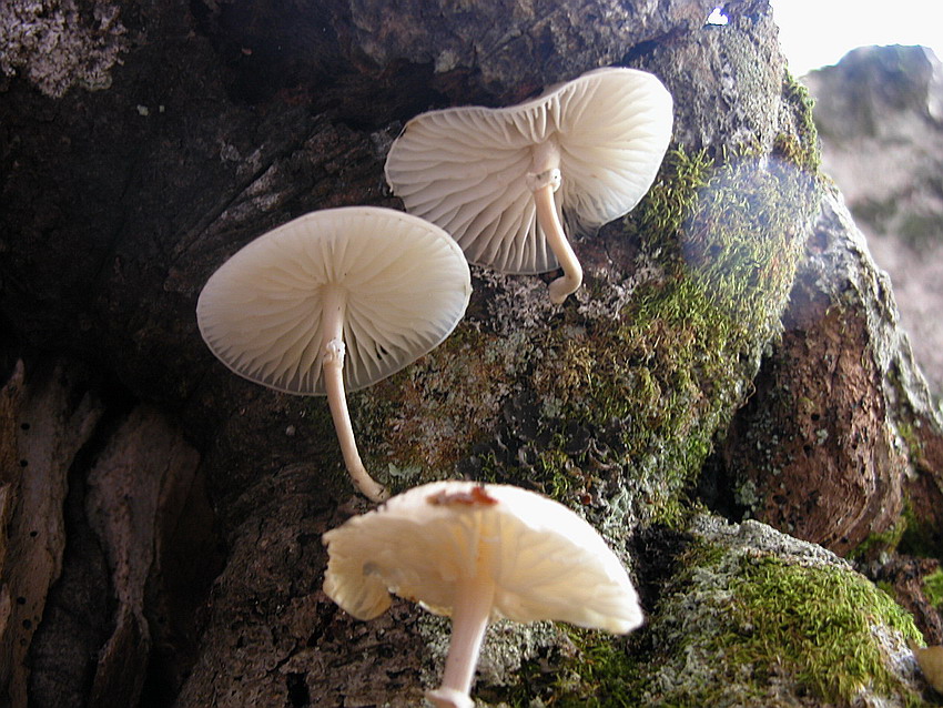 Qualche ritrovamento di Domenica 24/10/04