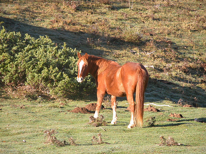 Qualche ritrovamento di Domenica 24/10/04