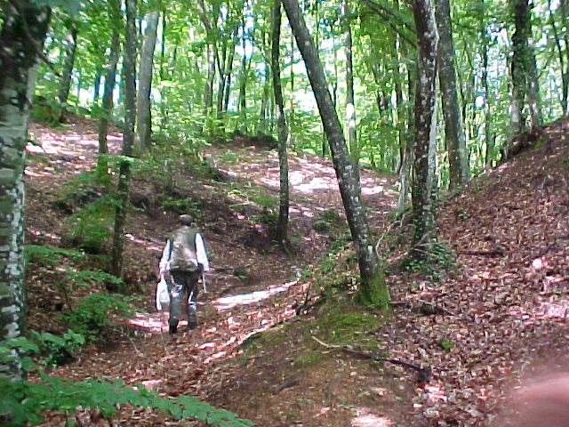 Bosco di Allumiere 3 6 2004