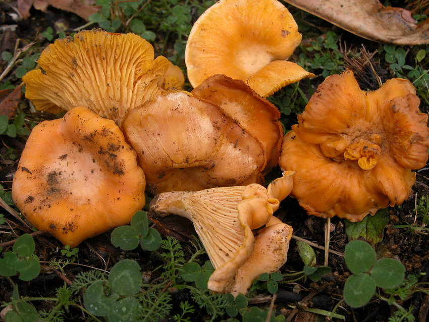 Alcuni ritrovamenti del 29/11