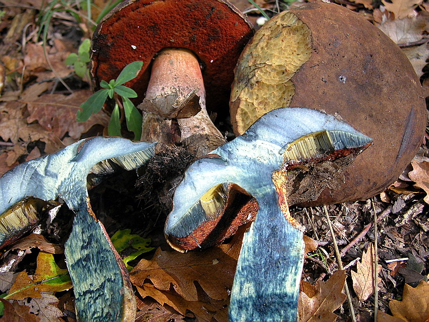 Alcuni ritrovamenti del 29/11