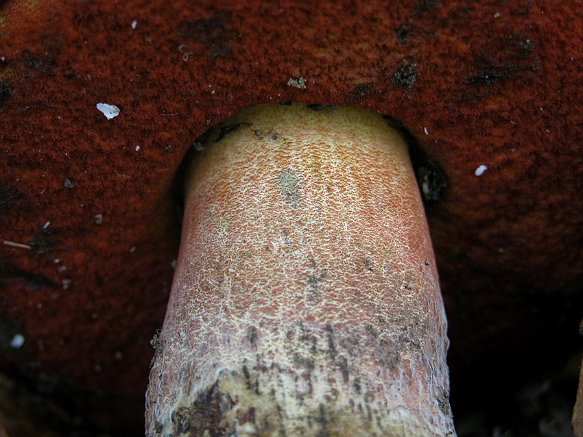 Alcuni ritrovamenti del 29/11