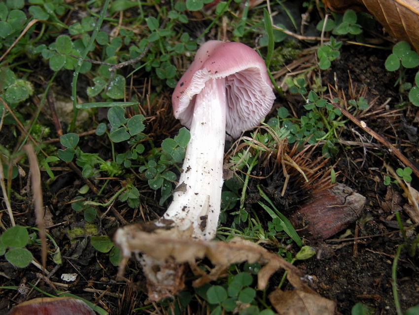 Alcuni ritrovamenti del 29/11