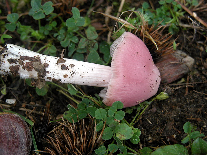 Alcuni ritrovamenti del 29/11