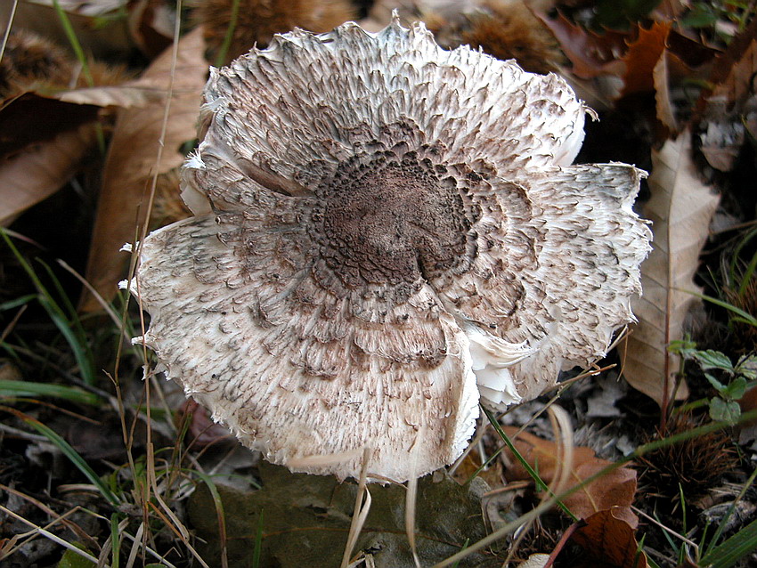 Alcuni ritrovamenti del 29/11