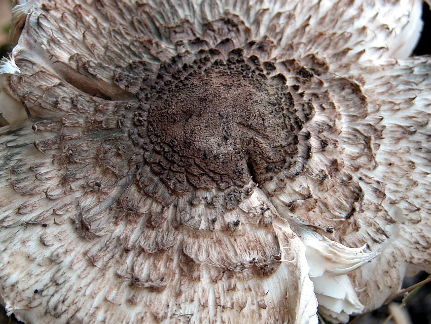 Alcuni ritrovamenti del 29/11