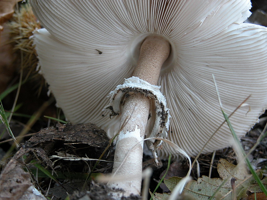 Alcuni ritrovamenti del 29/11