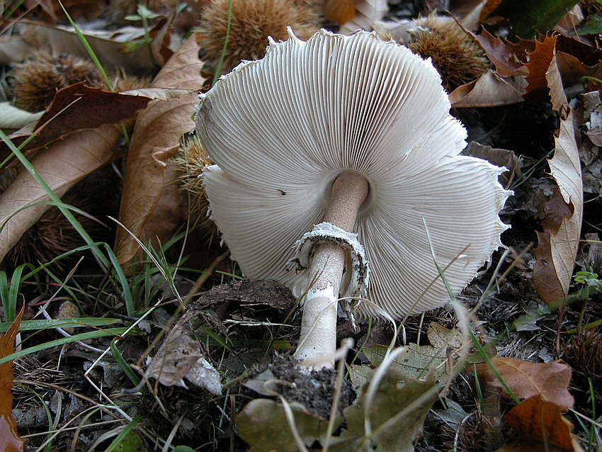 Alcuni ritrovamenti del 29/11