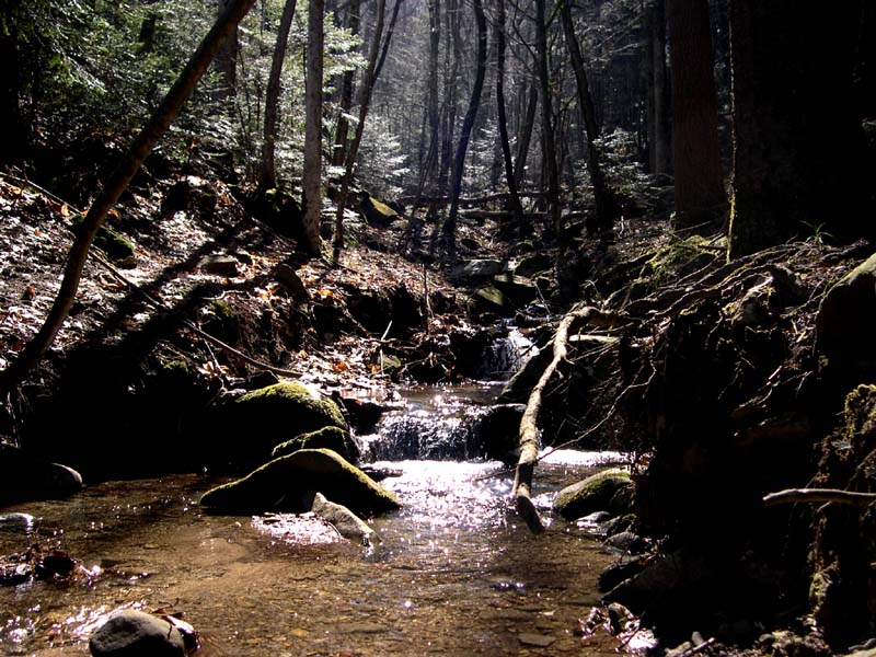Raduno a Vallombrosa