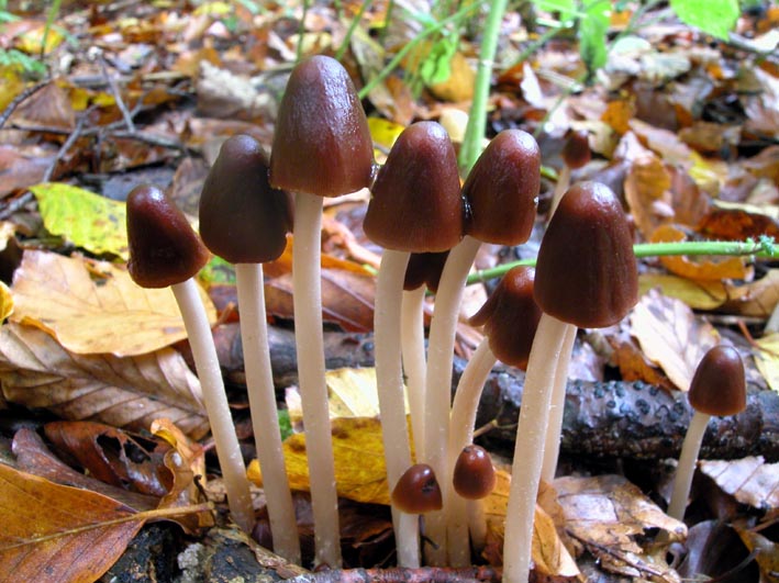 Mattinata sul Pian Piccolo