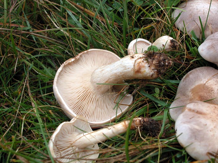 Mattinata sul Pian Piccolo