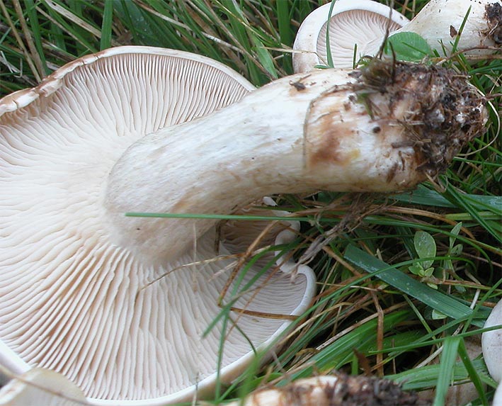 Mattinata sul Pian Piccolo