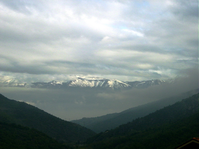 niente a che vedere con i funghi......