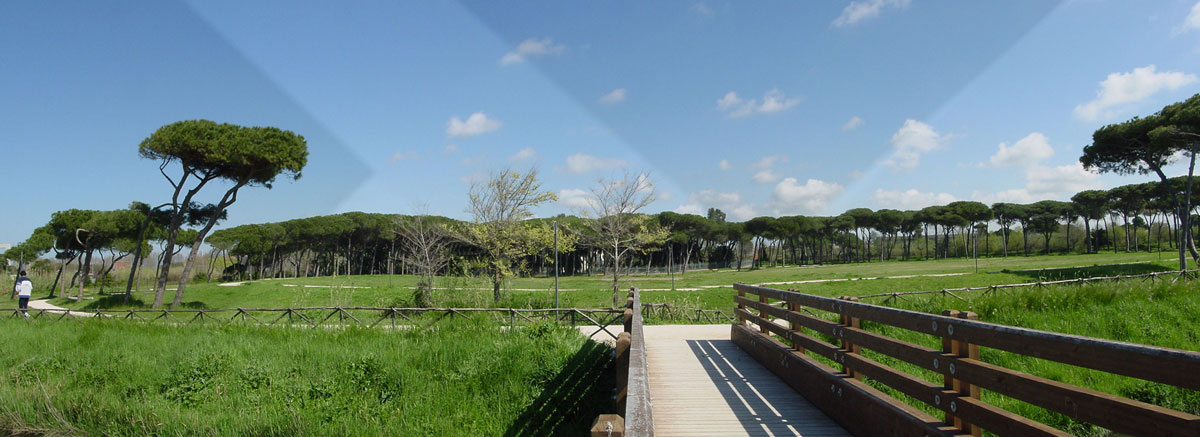 Villa Guglielmi (Fiumicino-Rm)