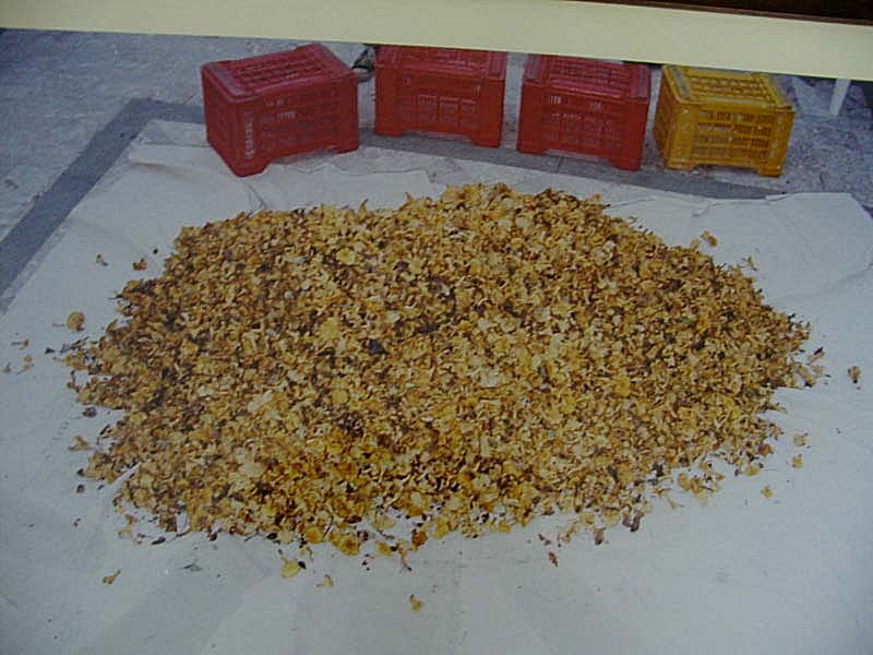 Paganini non ripete, io si.