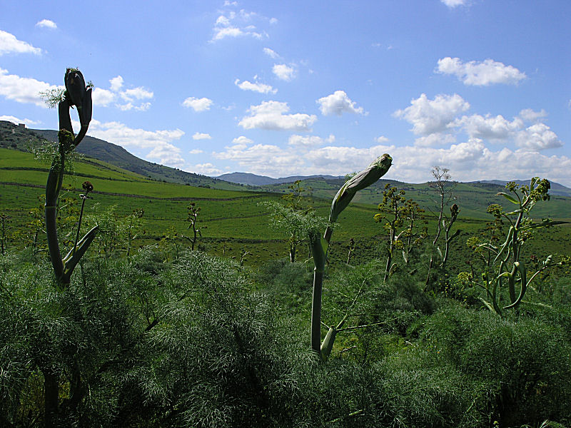 A Pergusa (EN) con Giovanni