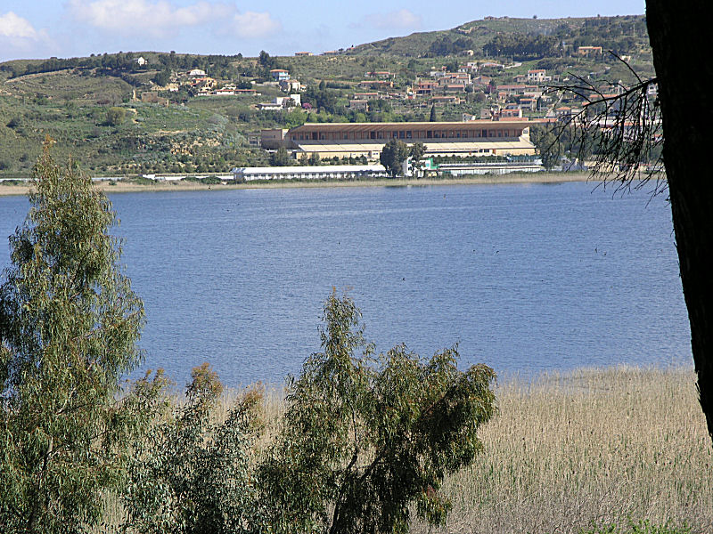 A Pergusa (EN) con Giovanni