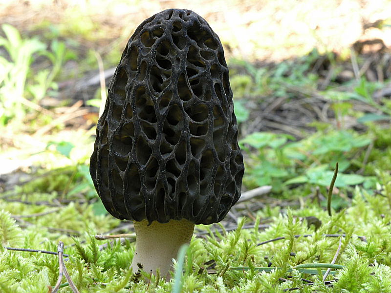 A Pergusa (EN) con Giovanni