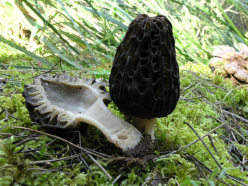 A Pergusa (EN) con Giovanni