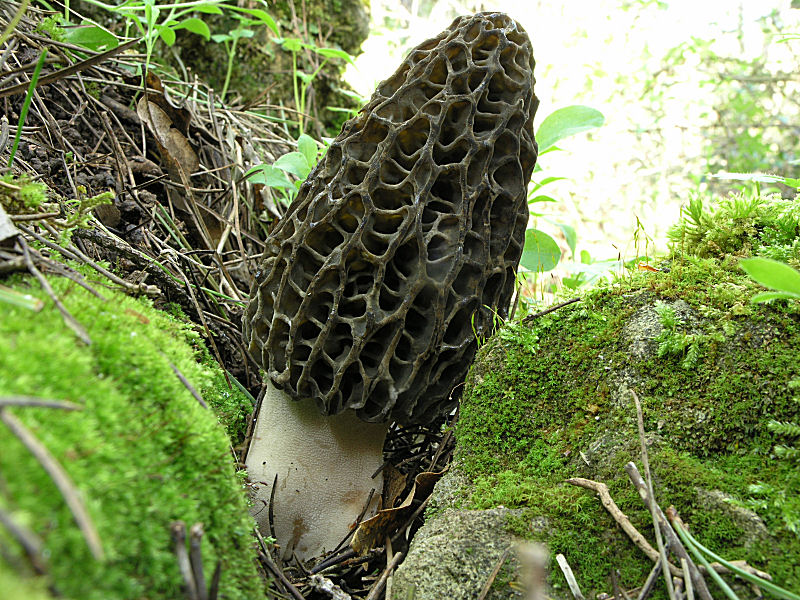 A Pergusa (EN) con Giovanni